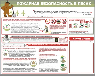 Знаки охраны природы для детей в картинках (30 картинок) - Pichold