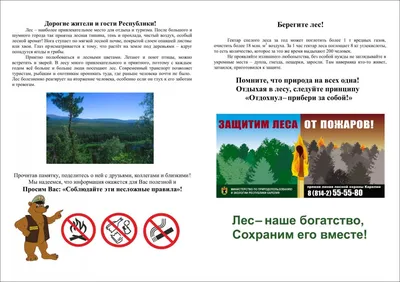 2620 Плакат Берегите лес от пожара (с текстом) (4205) купить в Минске, цена