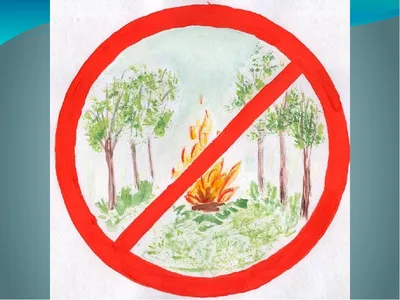 Аншлаги в лес противопожарные \"Берегите лес от пожара\", стенды, знаки и  плакаты - Агитация