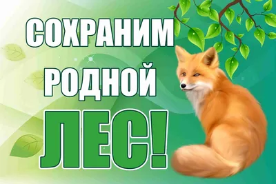 Знак Соблюдай чистоту в лесу – купить в Москве, цены | ГАСЗНАК