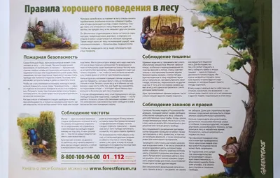 Плакаты Строительные леса (конструкции, монтаж, проверка на безопасность)