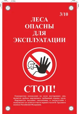 Охрана леса, плакат (арт. БЛ-36) купить в Москве с доставкой: цены в  интернет-магазине АзбукаДекор