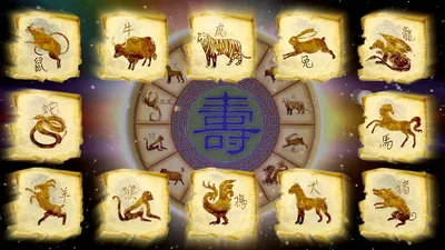 Китайський гороскоп на 2022 год Тигра для восточных знаков зодиака по году  рождения