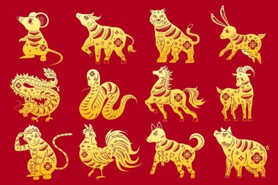 Китайский знак зодиака Кролик: описание знака, совместимости, рейтинг персон