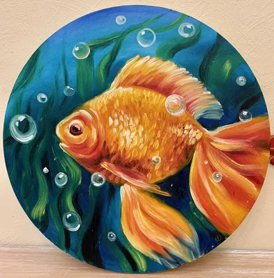 Золотая рыбка - оранда красная шапка | ЗООМАГ