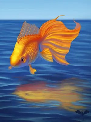 Золотая рыбка на белом фоне | Премиум Фото
