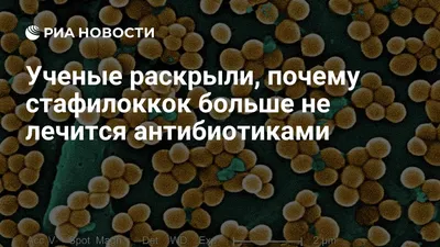 Микробиологи научились убивать стафилококк солью