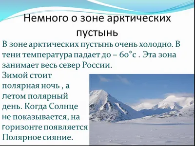 Макет «Природные зоны. Арктика» (4 фото). Воспитателям детских садов,  школьным учителям и педагогам - Маам.ру