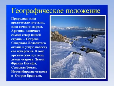 Шаг 1 – Зона арктических пустынь – Stepik