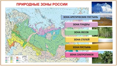 Урок окружающего мира «Арктика. Зона арктических пустынь. Способы получения  и применения информации при изучении новой темы» – тема научной статьи по  наукам об образовании читайте бесплатно текст научно-исследовательской  работы в электронной библиотеке