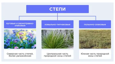 ООПТ России - степные особо охраняемые природные территории