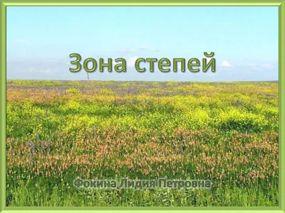 Зона степей и лесостепей России • География, Природно-хозяйственные зоны  России • Фоксфорд Учебник