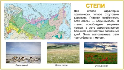 Зона степей России: расположение, карта, природные условия, животные и  растения