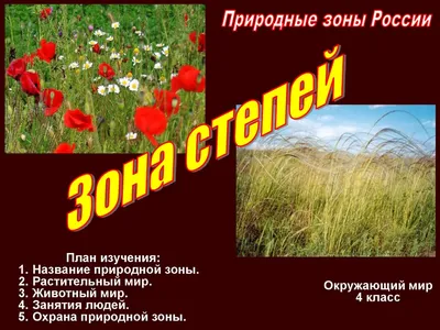 Мир, сотканный из радости...: Природные зоны России. Степь
