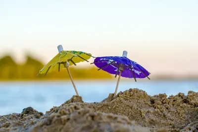 Как выбрать безопасный детский зонт | Интернет-магазин Vipgalant