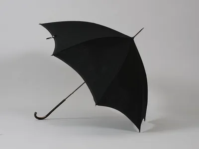 Какой зонт защитит от дождя и прослужит не один сезон | Правила покупки от  Роскачества