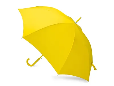 Зонт - трость чекмарь (встроенная рапира) купить по цене 20 240 р.,  артикул: зонт-трость чекмарь в интернет-магазине Kitana
