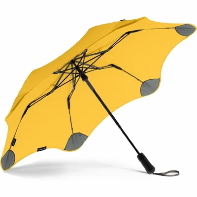 Самые дорогие и необычные зонты в мире| Блог NEWZONT.RU