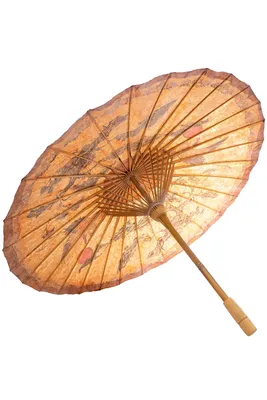 Зонтик в лесу - 60 фото