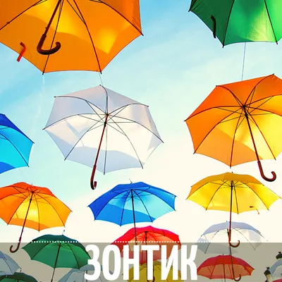 Купить Зонтик BLUNT Sport - Графитовый (0010008) выгодно в Киеве | цена и  обзор в интернет магазине NewTime