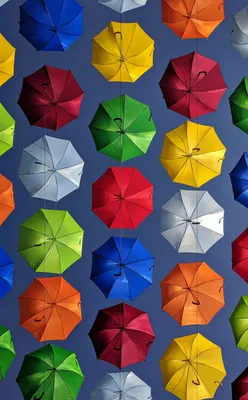 На продаже новые тренд зонтики 2023: 1750 KGS ➤ Садовые зонты | Бишкек |  52094370 ᐈ lalafo.kg