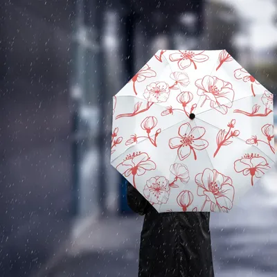 Зонтик на телефон охрана присоска недорого ➤➤➤ Интернет магазин DARSTAR