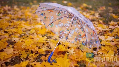 Готовьте зонтики: на Свердловскую область обрушатся дожди