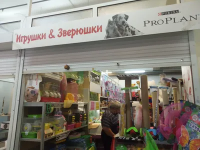 Игровой набор Our Generation Deluxe Зоомагазин купить оптом в Киеве,  Украине | Express Service