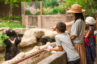 Зоопарк Шымкента. Почему его стоит посетить | informburo.kz