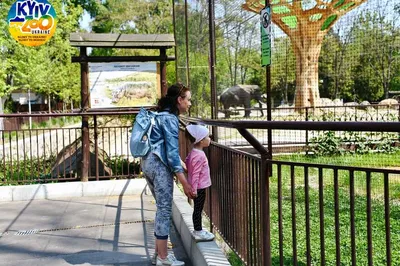 🏛️ Зоопарк в Торонто: тысячи видов животных, живущие в комфортных условиях  | Smapse