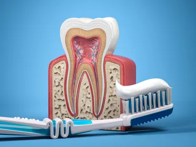 Почему нельзя терпеть зубную боль? Мнение врача стоматолога
