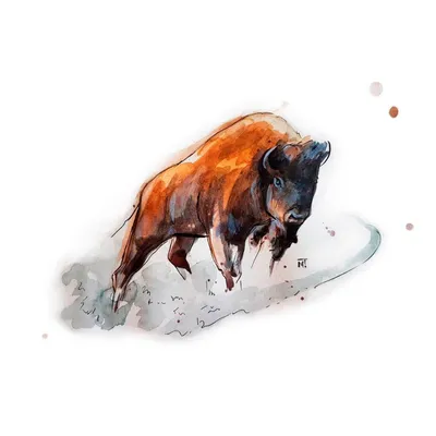 The bison photographed in the CEZ. Рис. 2. Зубр сфотографований у ЧЗВ. |  Download Scientific Diagram