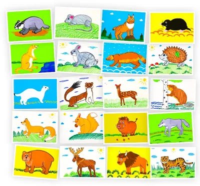 Животные в Лесу | SkillBerry | Онлайн-школа рисования и рукоделия для детей  и взрослых СкиллБерри