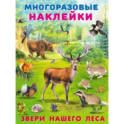 Лисёнок и другие звери в лесу. Познавательные истории — 365 Книг