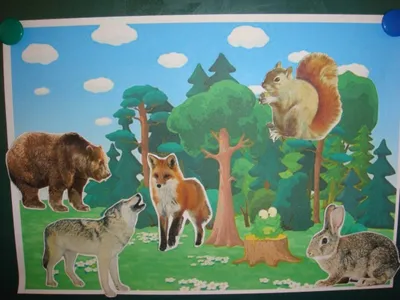 Животные в лесу рисунок - 78 фото