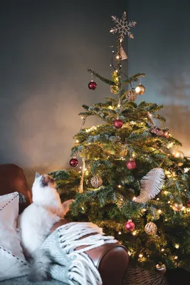 Шопинг: чем украсить верхушку новогодней елки | myDecor