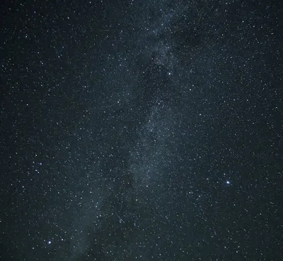 В Алтайском заповеднике засняли звездное небо над Телецким озером | ИА  Красная Весна