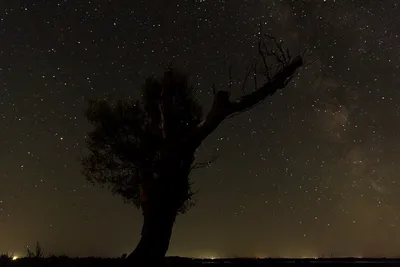 Красота неземная: где лучше всего на нашей планете наблюдать звездное небо  - АЗЕРТАДЖ