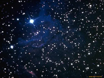 Фотообои Мерцание звезд в космосе 13747 купить в Украине | Интернет-магазин  Walldeco.ua