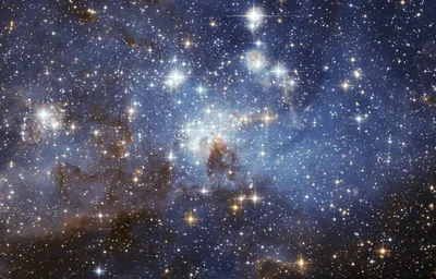 Все виды звёзд. Сверхновые, карлики, нейтронные и прочие | Космос | Мир  фантастики и фэнтези
