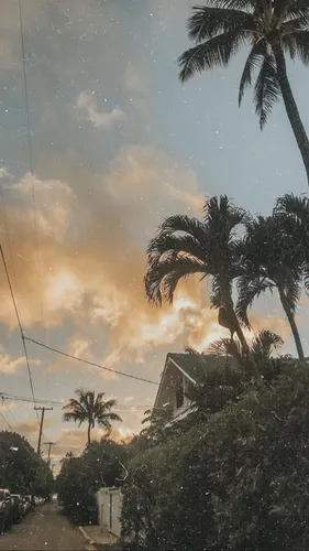 Эстетика Обои на телефон дом с пальмами и облачным небом