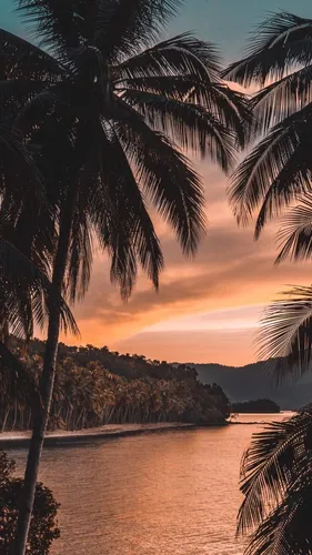 Пейзаж Обои на телефон водоем с пальмами и горами на заднем плане