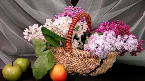 Весна Обои на телефон корзина с цветами и фруктами