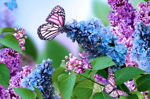 Весна Обои на телефон бабочка на цветке