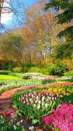 Весна Обои на телефон сад с яркими цветами