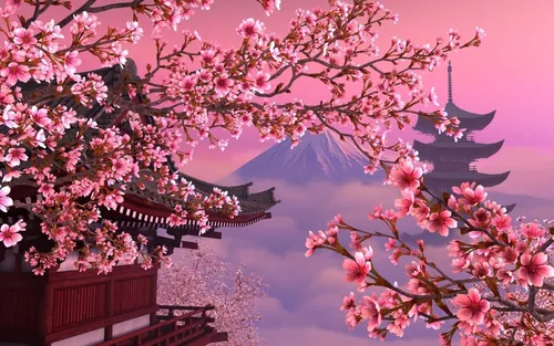 Япония Обои на телефон розовые цветы на дереве