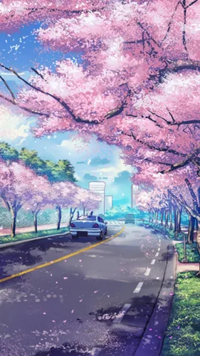 Япония Обои на телефон автомобиль едет по дороге с розовыми деревьями по обе стороны