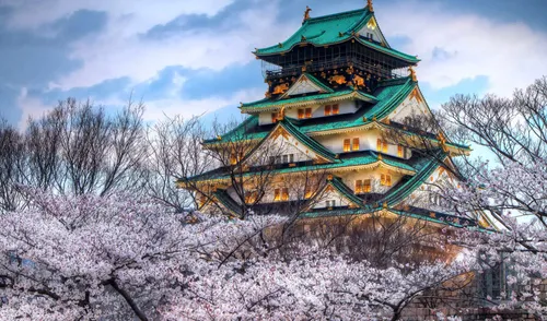 Япония Обои на телефон Замок в Осаке с зеленой крышей и розовыми цветами на земле
