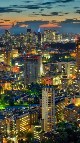 Япония Обои на телефон город в ночное время