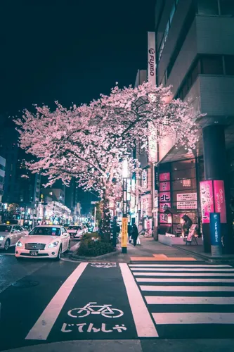 Япония Обои на телефон улица с машинами и деревьями сбоку